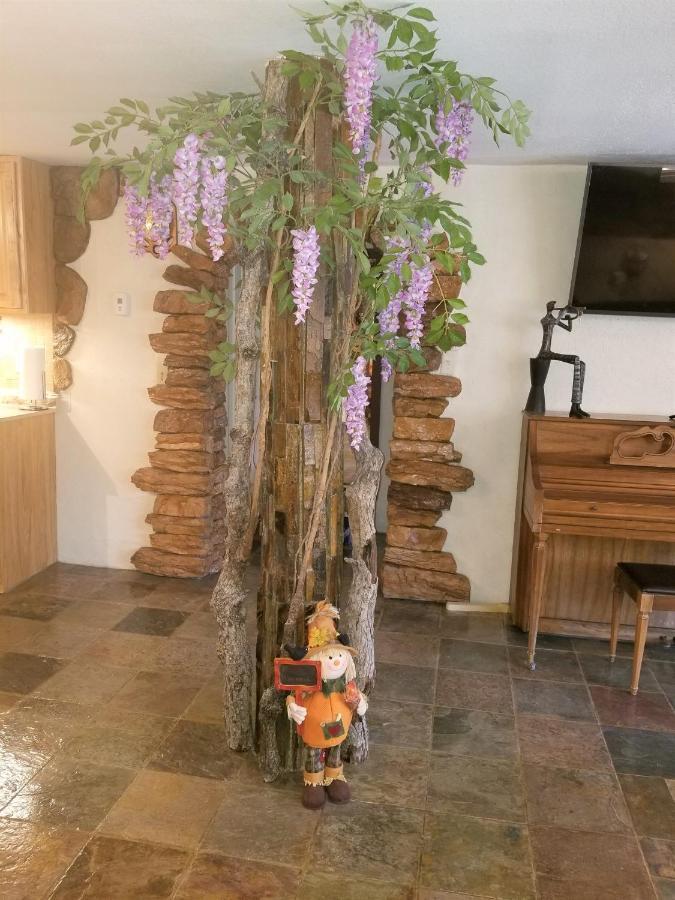 Your Comfy Home In Colorado Springs Extérieur photo