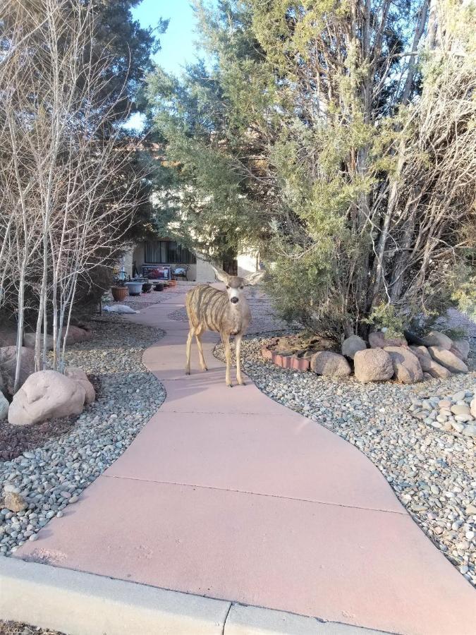 Your Comfy Home In Colorado Springs Extérieur photo